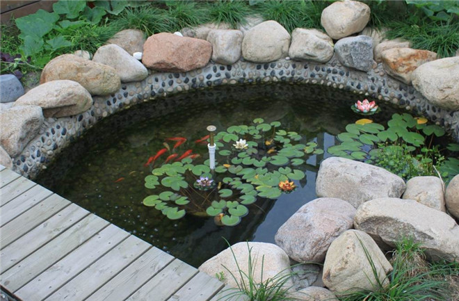 庭院水池